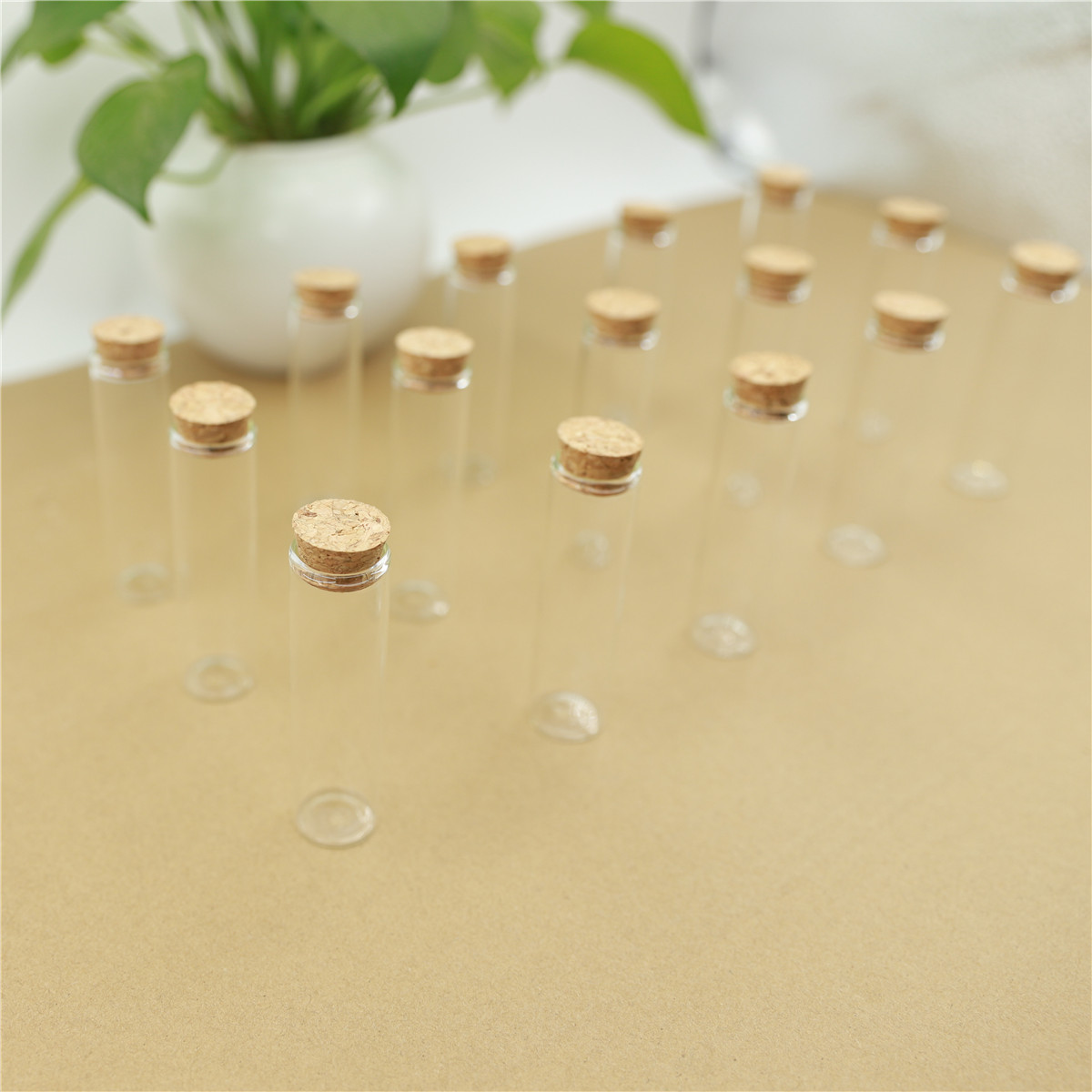 50ชิ้น/ล็อตแก้วขวด22*80มม.หลอด - Bottle Stopper Set บทวิจารณ์และราคา