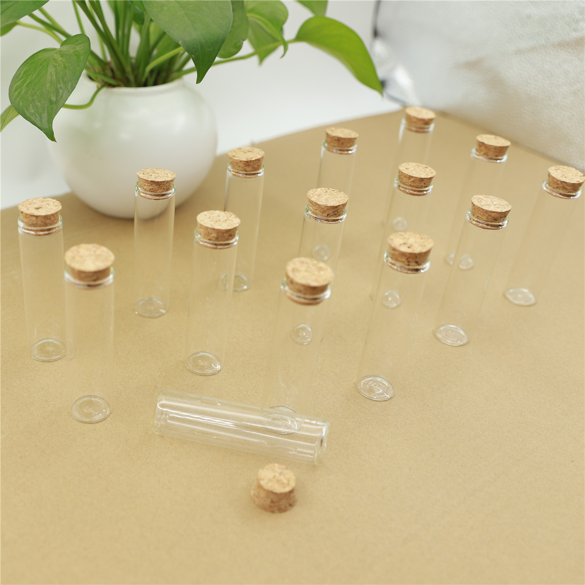 50ชิ้น/ล็อตแก้วขวด22*80มม.หลอด - Bottle Stopper Set บทวิจารณ์และราคา